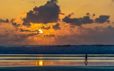 How a Therapists Can Assist in Using the 8 Dimensions of Wellness