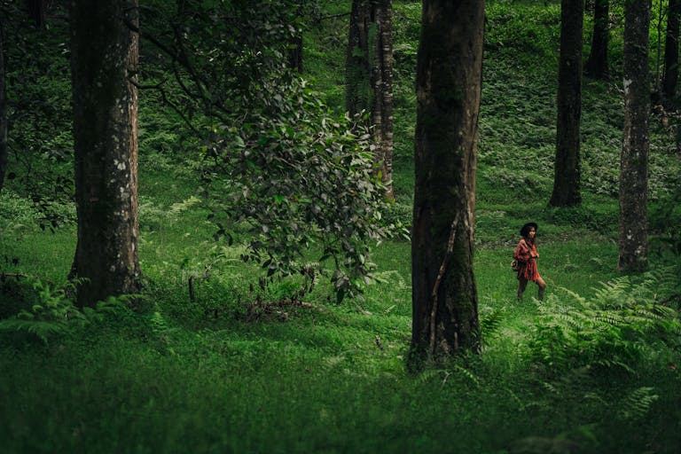 An adventurous Asian woman hiking through a vibrant green forest with dense foliage.